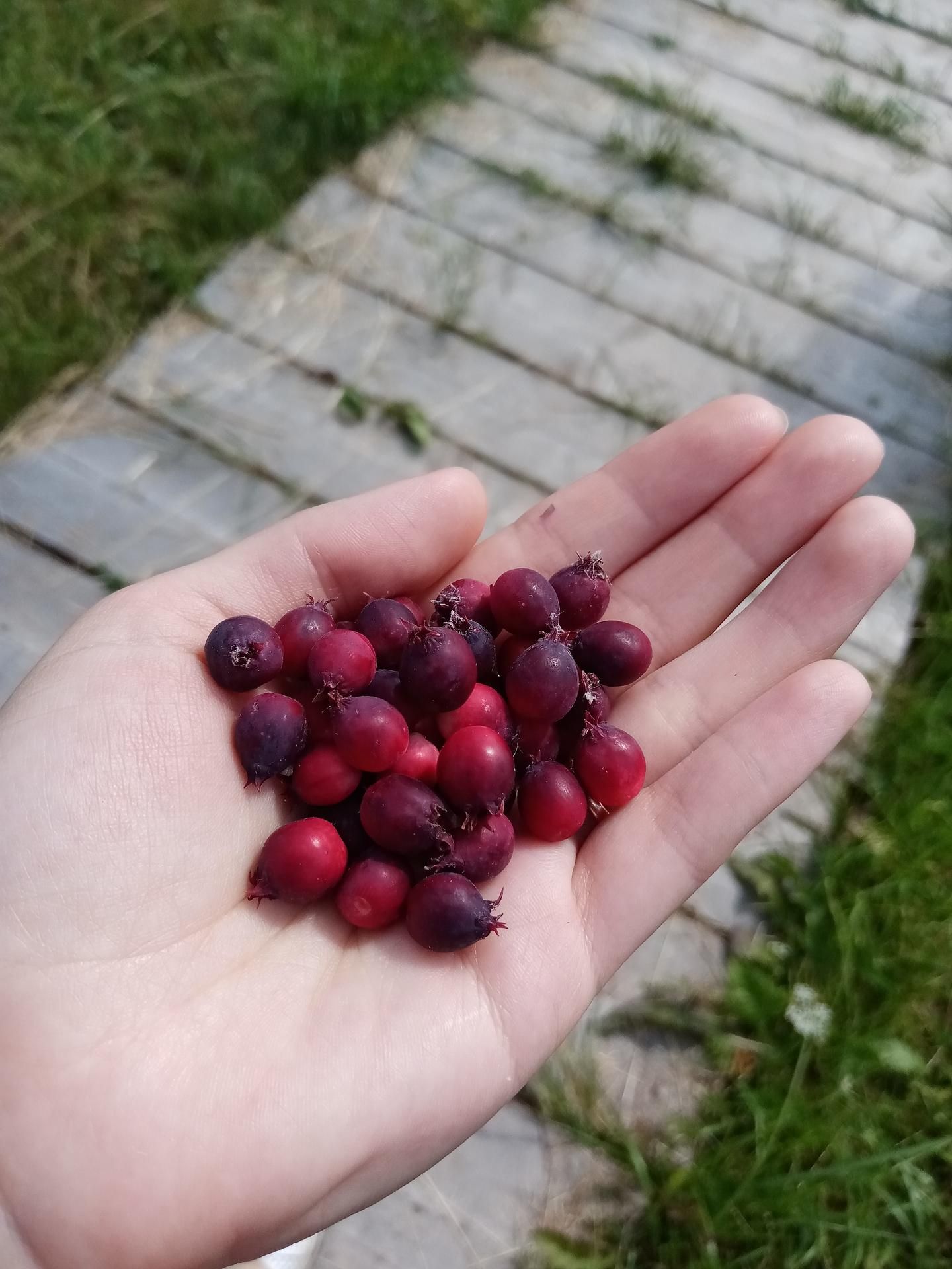 На землю чуди. Кудымкар - Пешнигорт