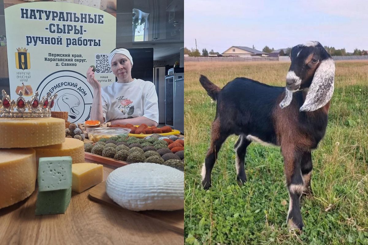 Гастрономическая экскурсия «День на ферме нубийских коз»
